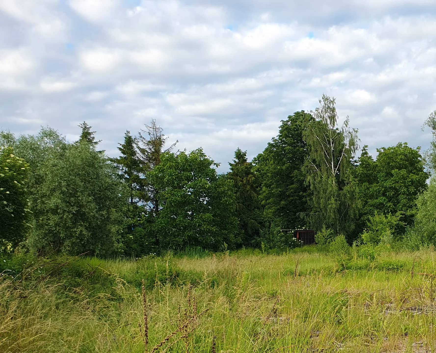 Ogrodzona działka budowlana Grobelno / Malbork, 2249 m2, WZ