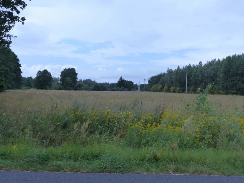 Zdjęcie 8
