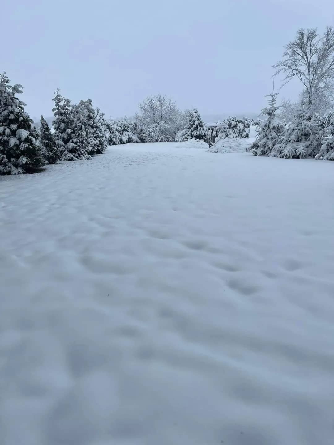 Dom na sprzedaż