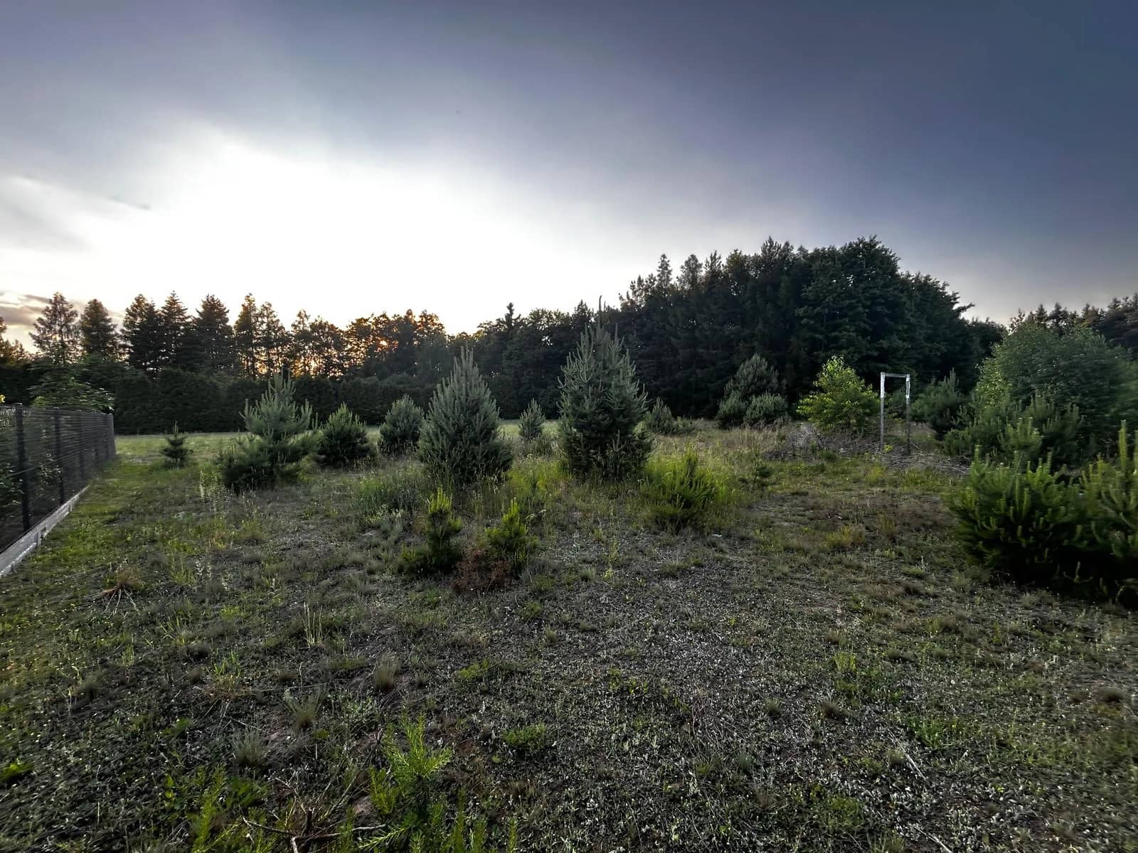 Działka budowlana 1000m² - Puszcza Mariańska - bez prowizji