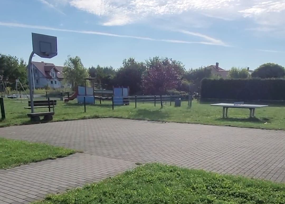 Zdjęcie 10