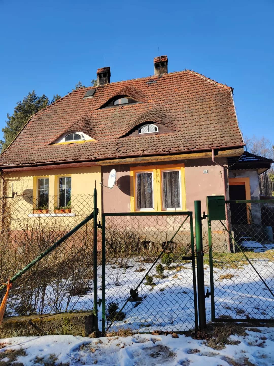 Połowa bliźniaka