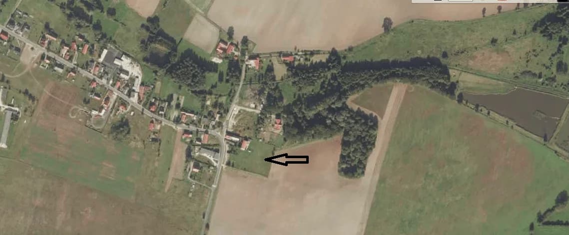 Zdjęcie 16