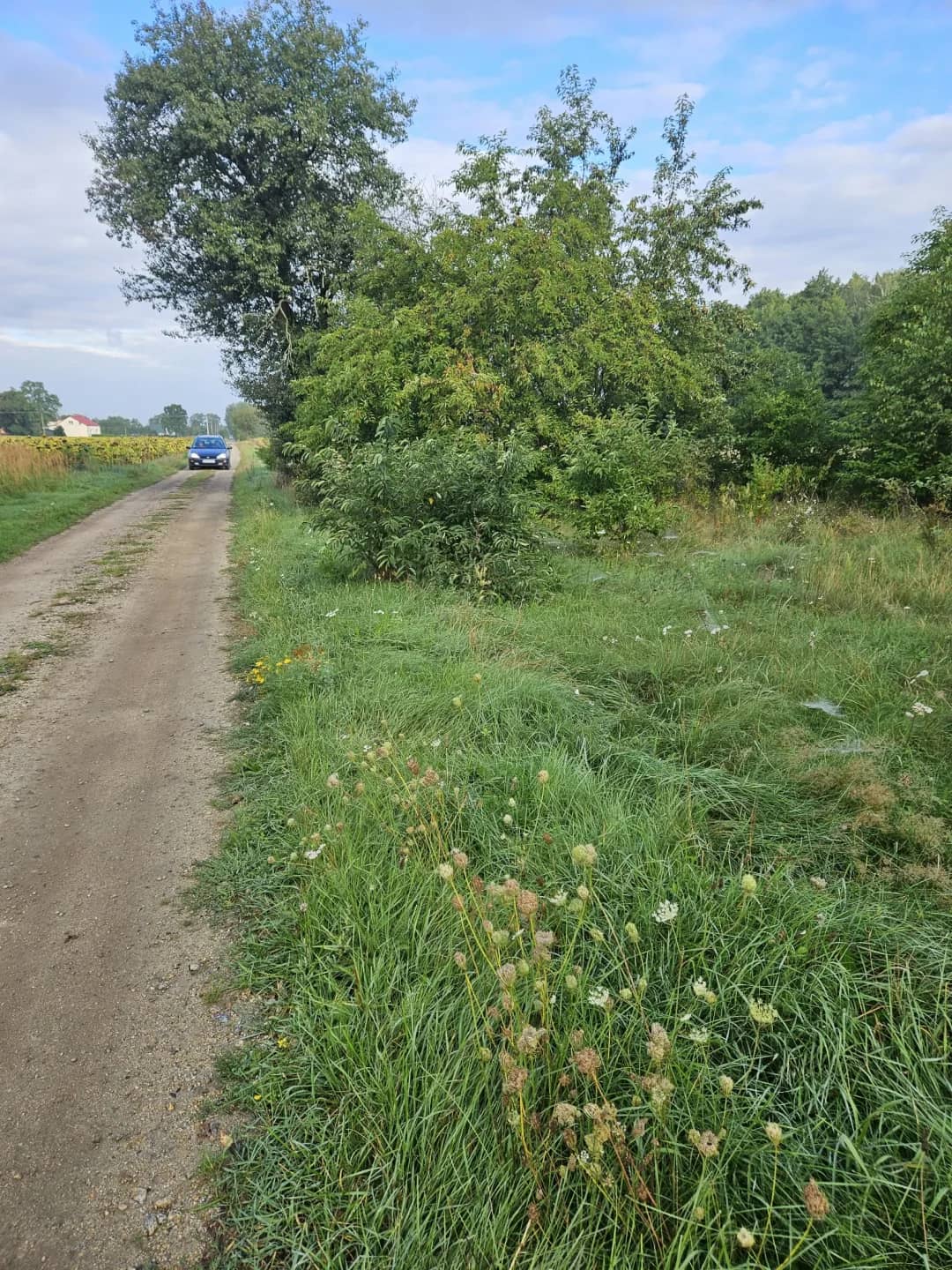 Działka budowana - Zaborów Stary Gostynin mazowieckie