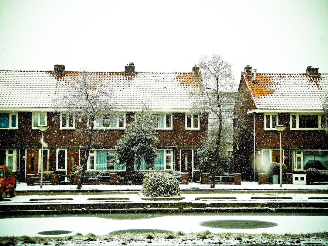 Wnętrze domku holenderskiego zimą z widokiem na salon i kuchnię