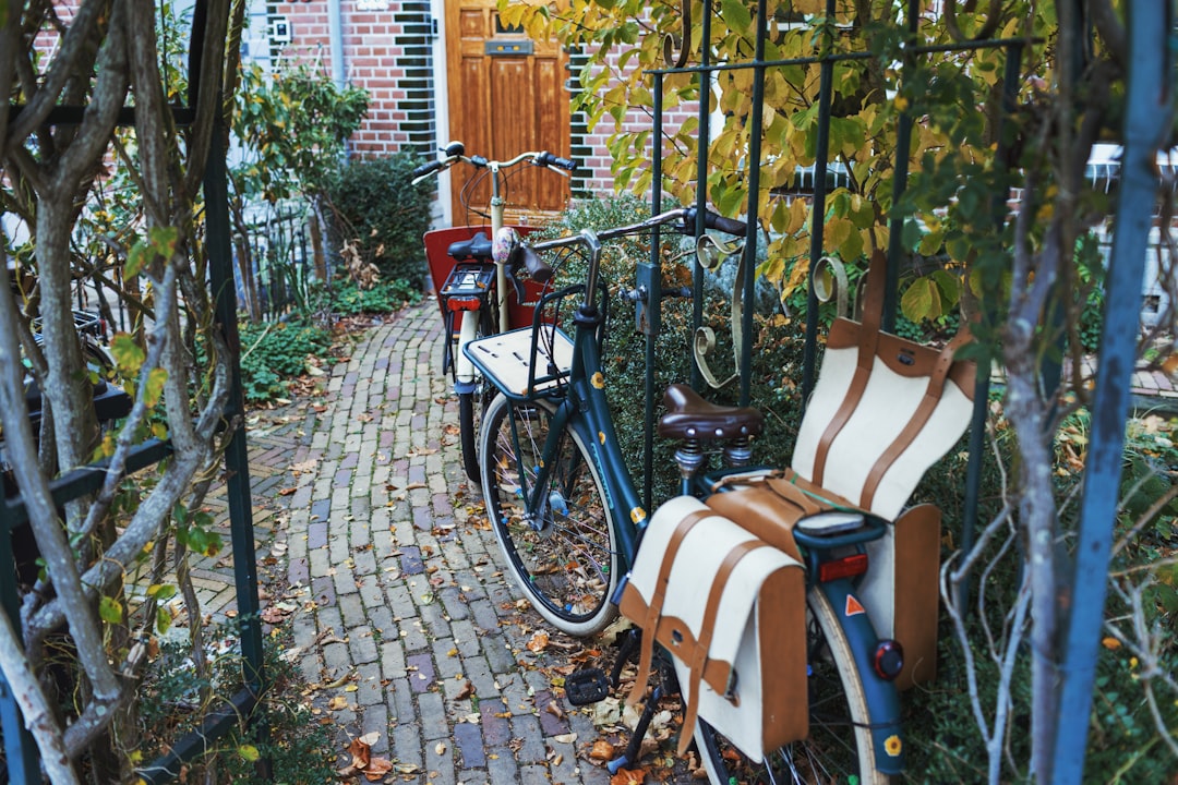 Całoroczne domki holenderskie - praktyczny przewodnik zakupu i użytkowania