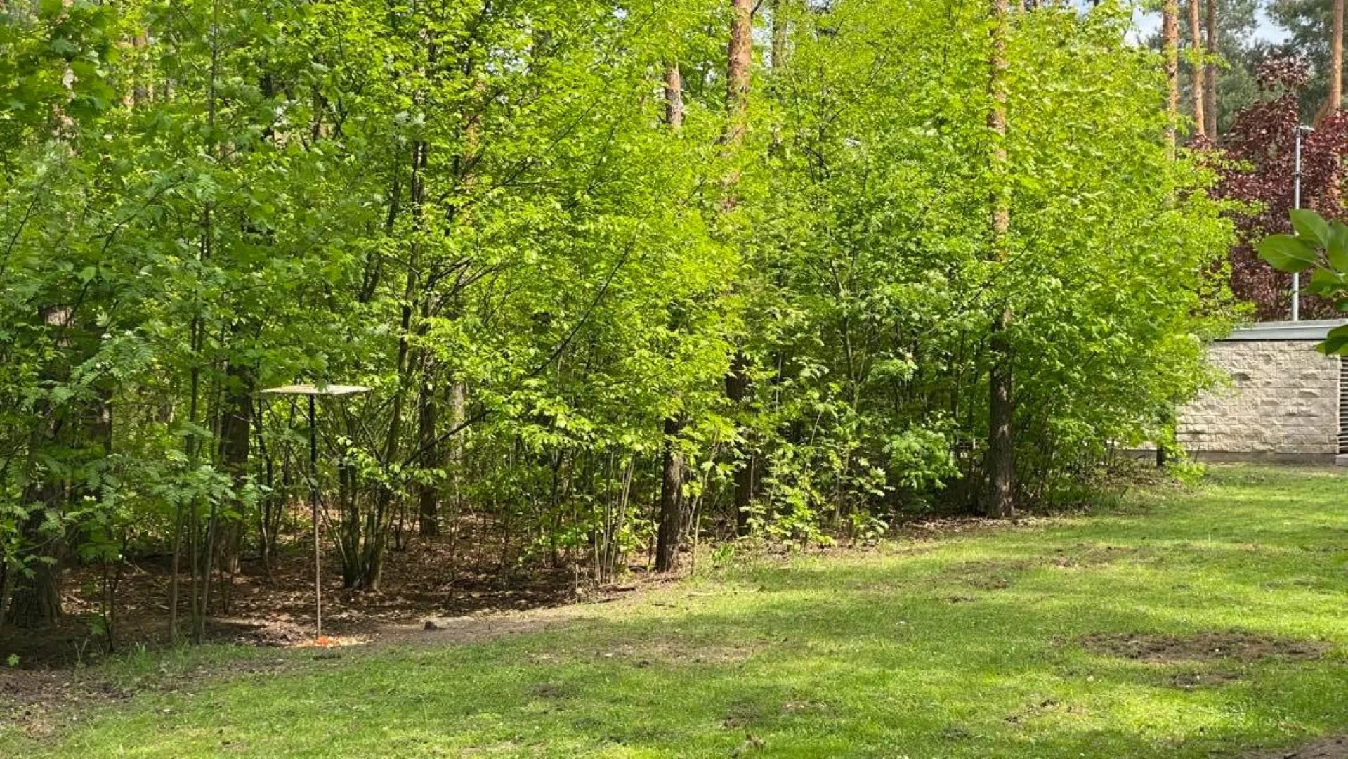 Doskonale położona działka w Zielonce