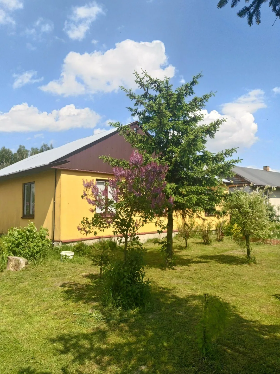 Dom z dużą działką prywatny staw las