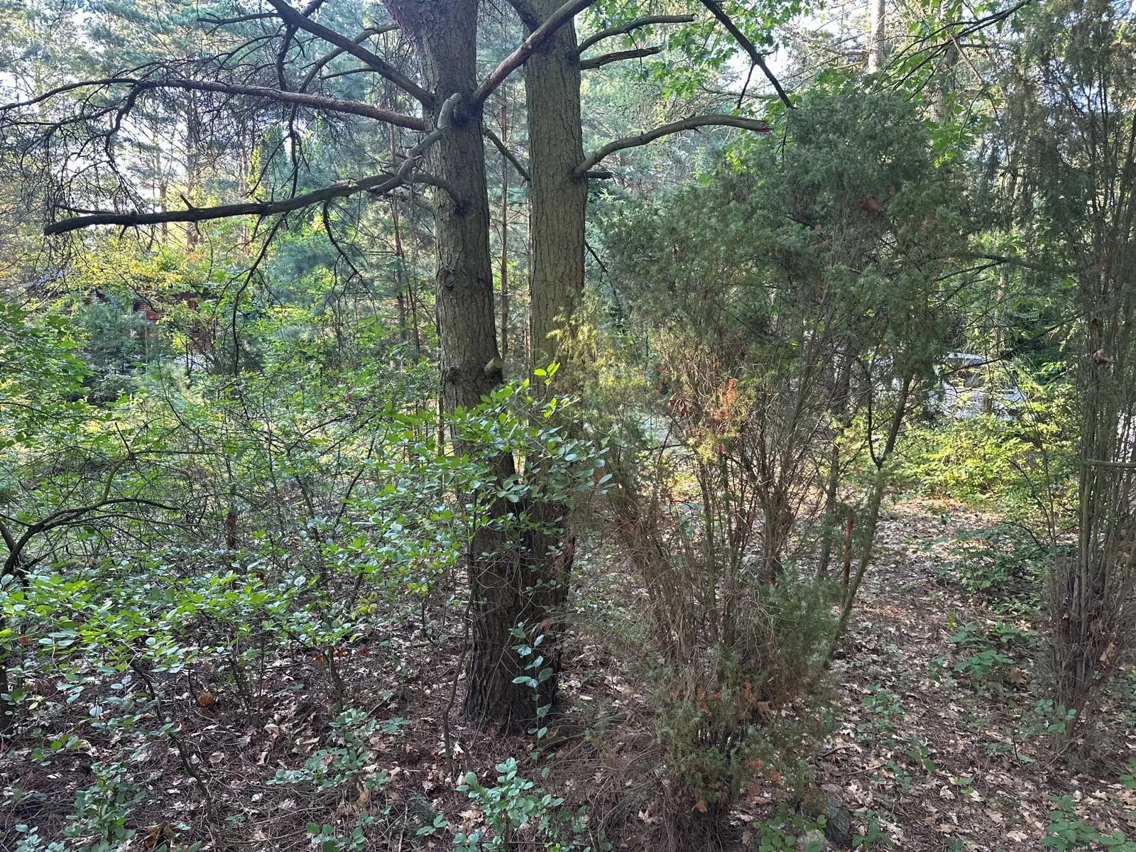 Poddębie, Działka na sprzedaż blisko Warszawy!! Dobra lokalizacja!!