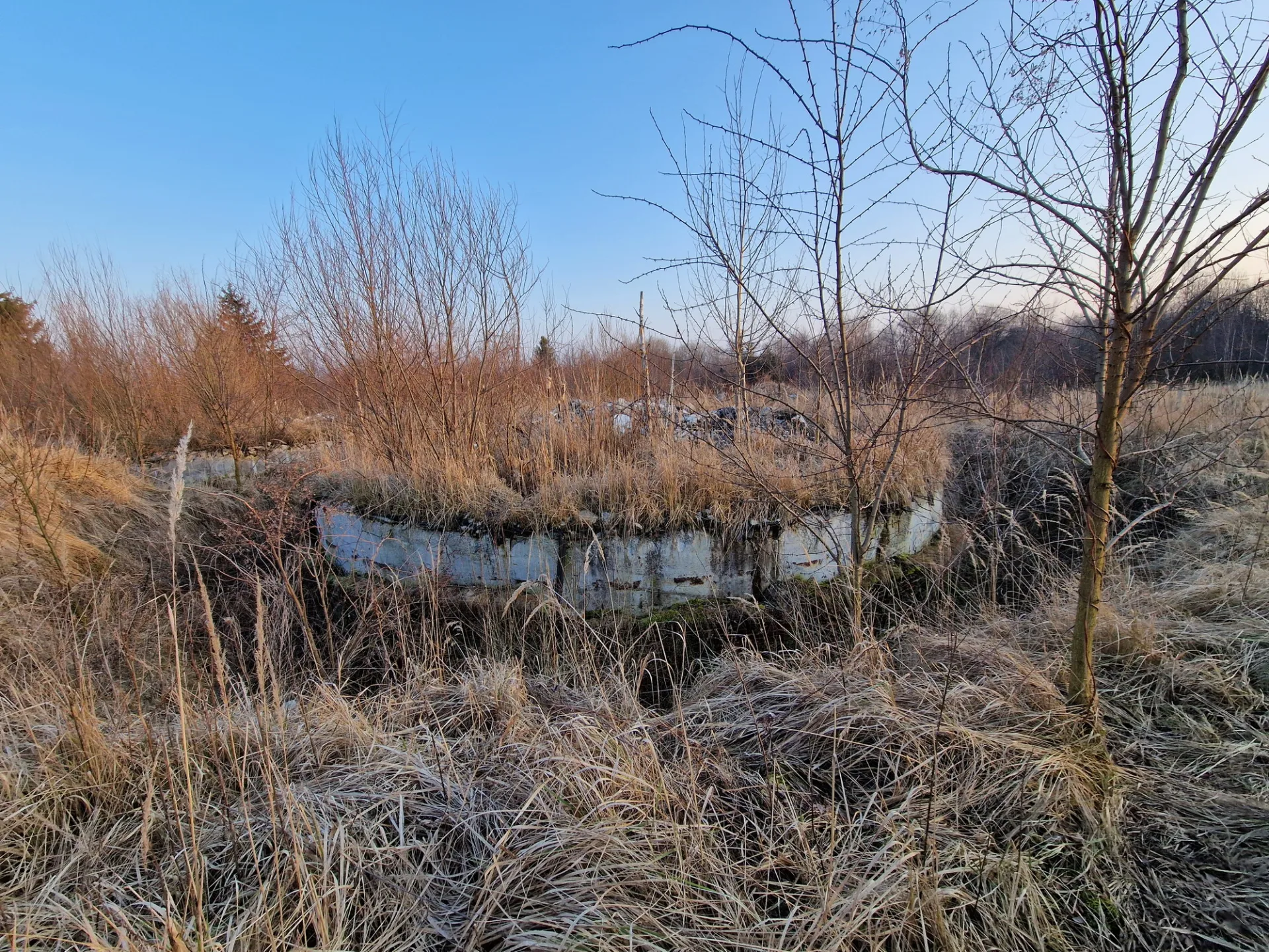 Nieruchomość na sprzedaż