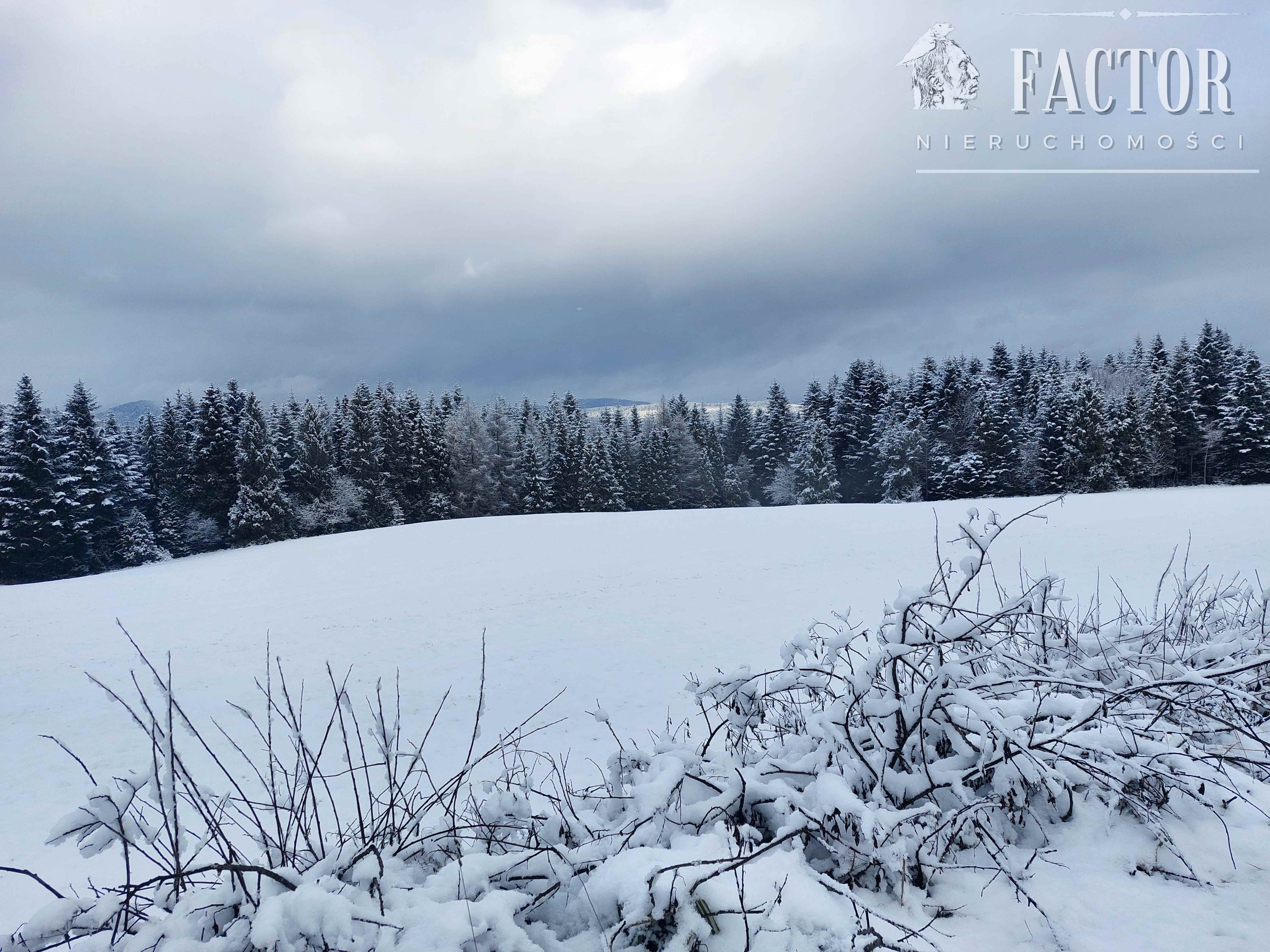 Klimkówka, działka usługowo-rekreacyjna, 1077S/2022