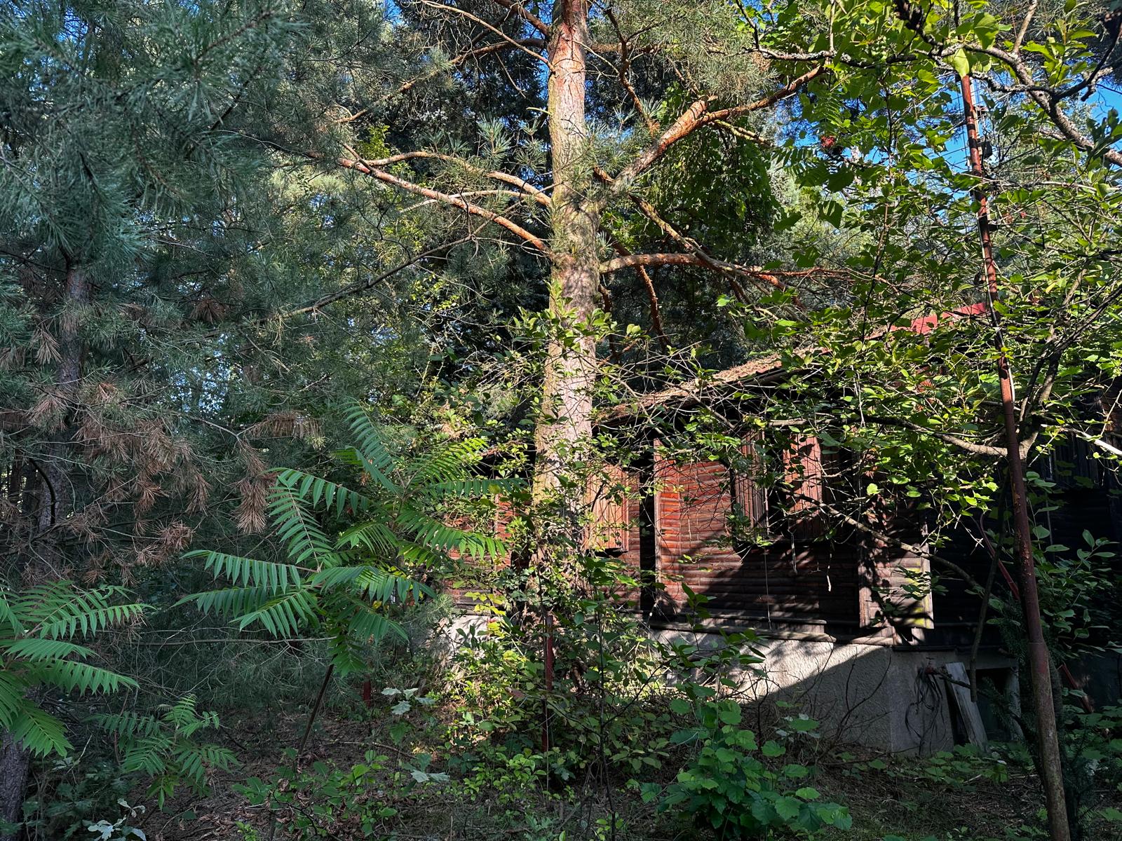 Poddębie, Działka na sprzedaż blisko Warszawy!! Dobra lokalizacja!!