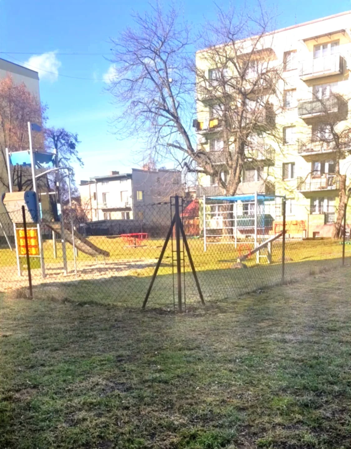 Zdjęcie 15