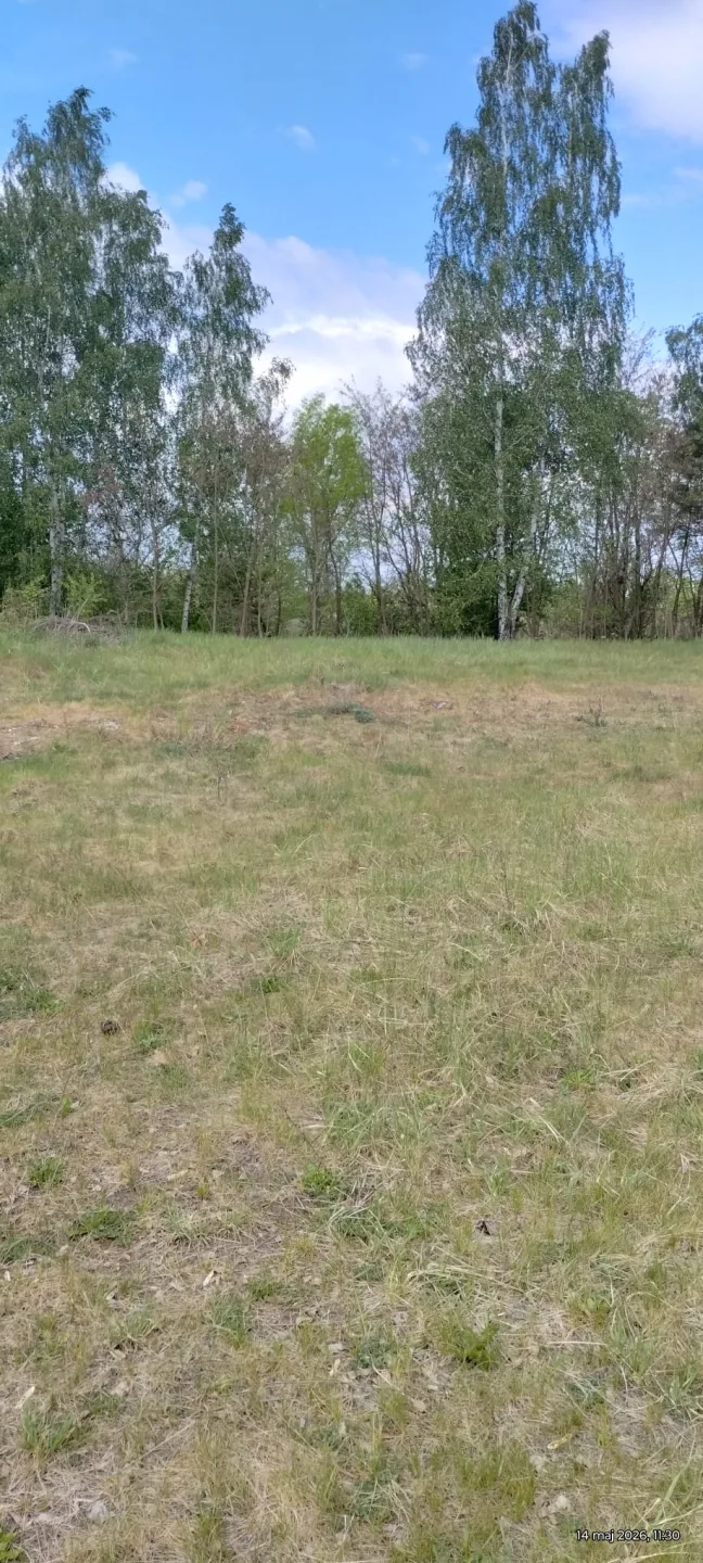Działka budowlana 3000 m² – Kazuń Bielany, blisko Warszawy