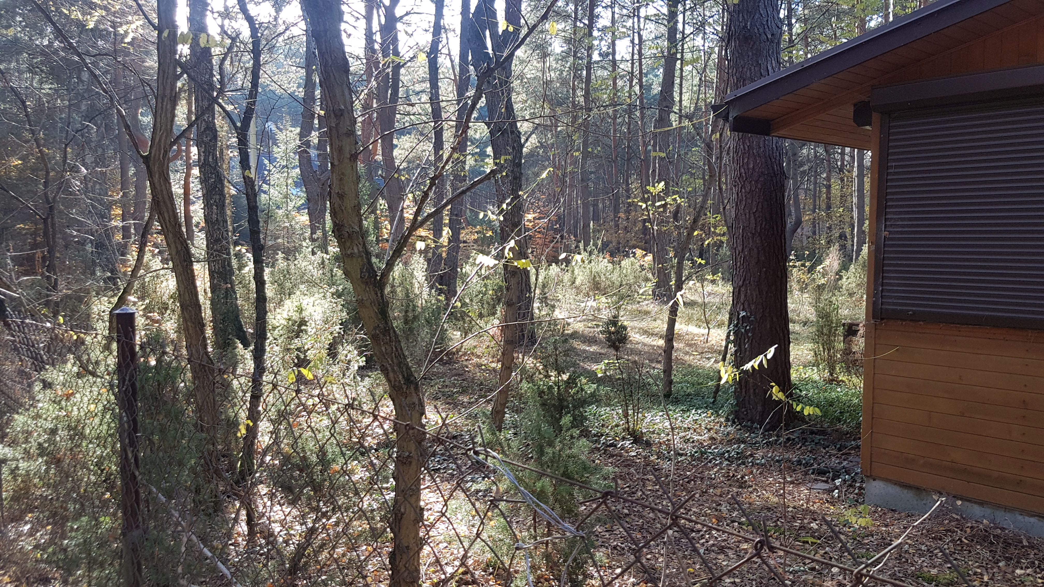 Działka Radzymin Rejentówka