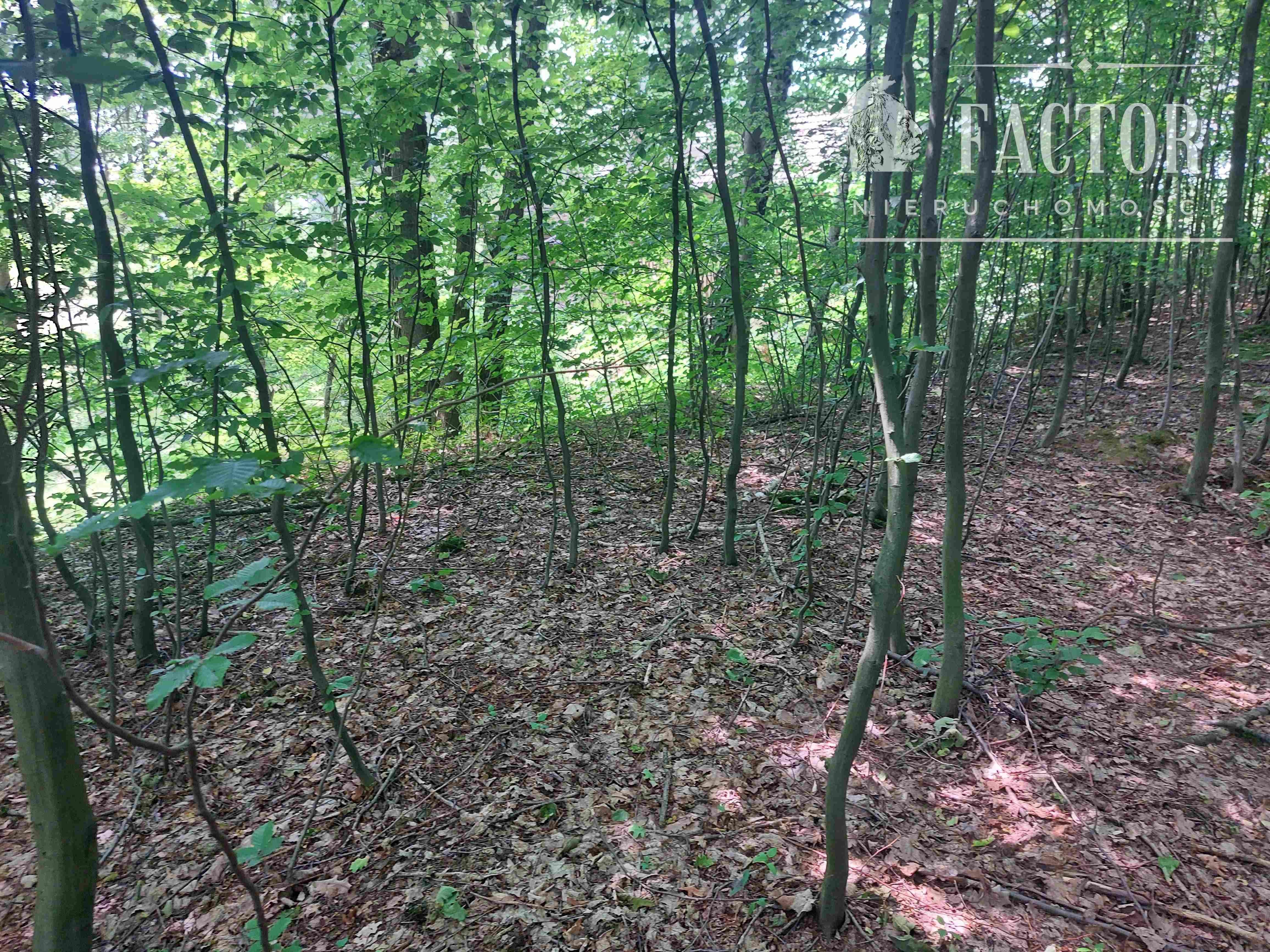 Libusza, działka budowlana 20 a, 1094S/2023