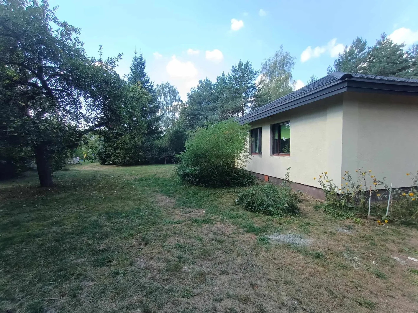 Posiadłość 4,6 ha z budynkami blisko Warszawy