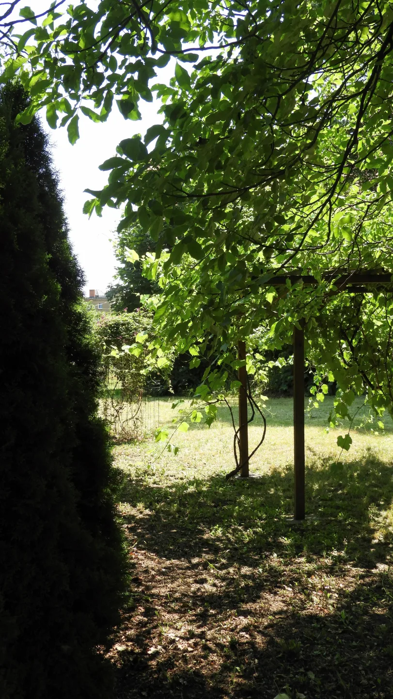 DZIAŁKA BUDOWLANA z 4 mieszkaniami i budynkami gospodarczymi