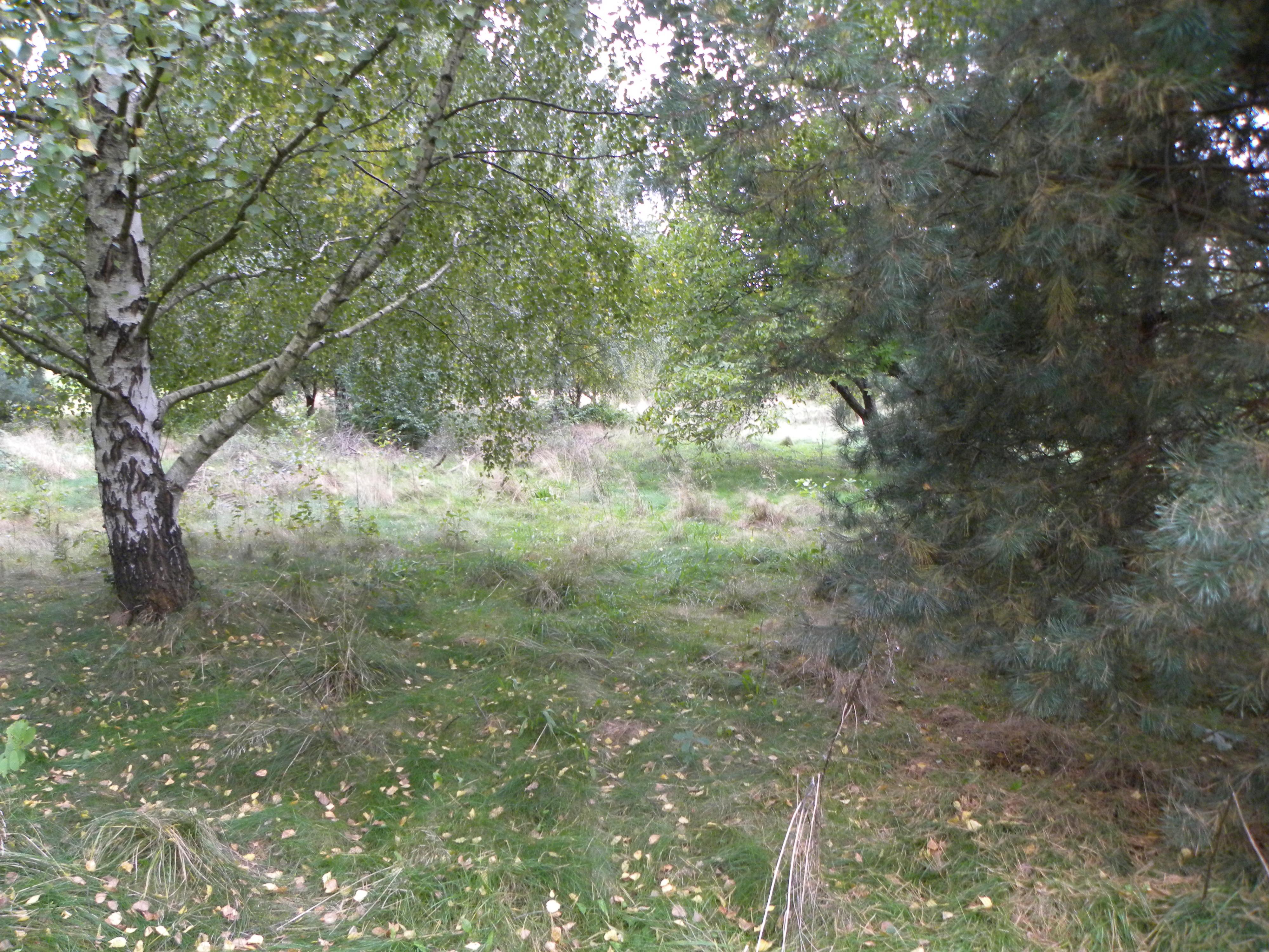 Ropica Polska, działka budowlana 21 a, 1023S/2021