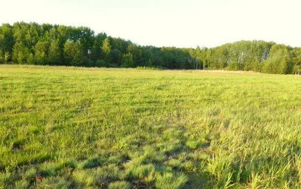 Grunty PRZEMYSŁOWO-USŁUGOWE Radzymin