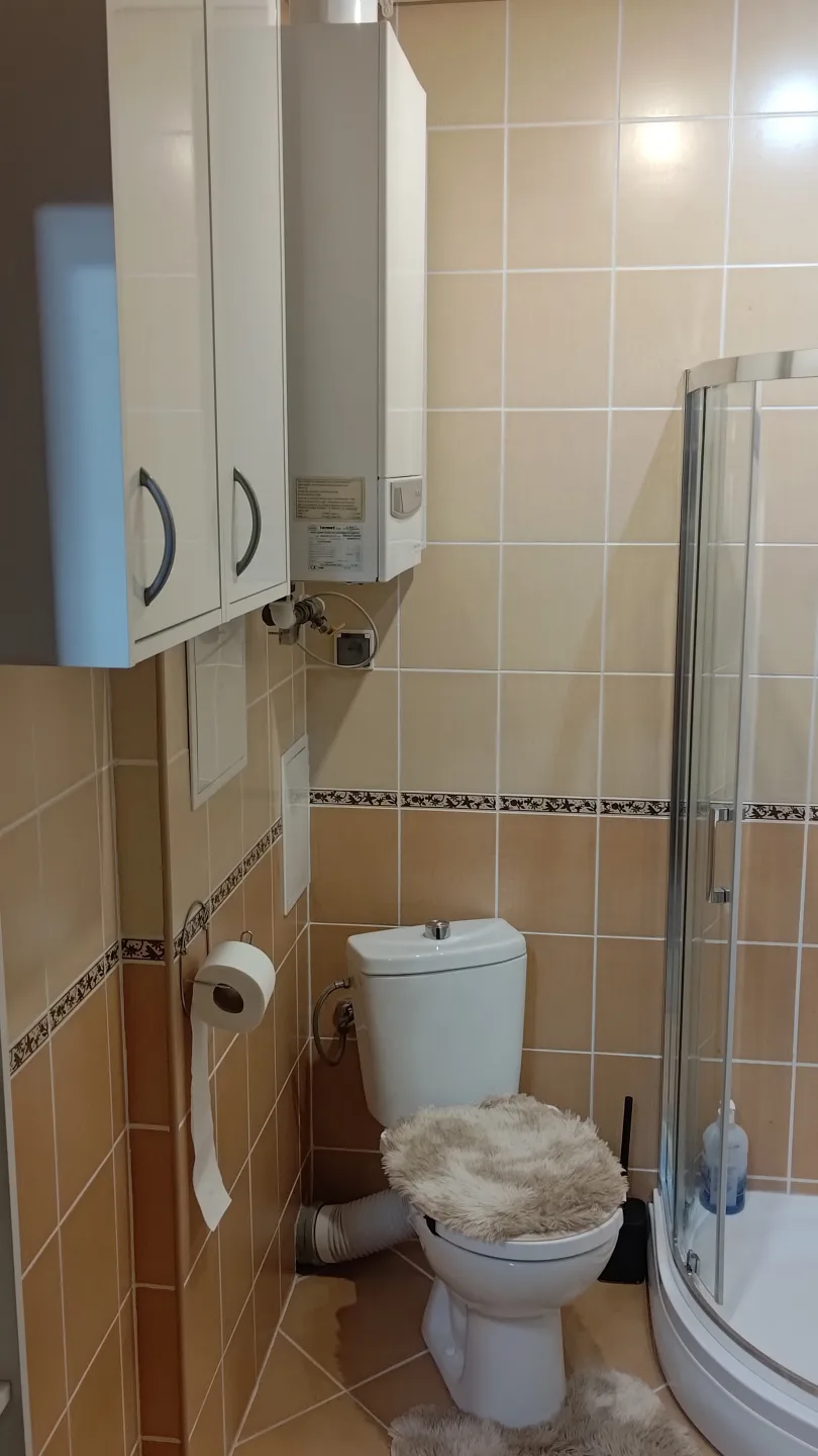 Zdjęcie 7
