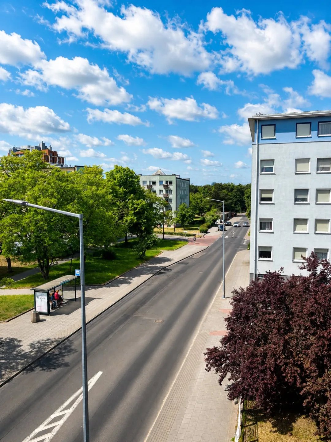 Zdjęcie 6
