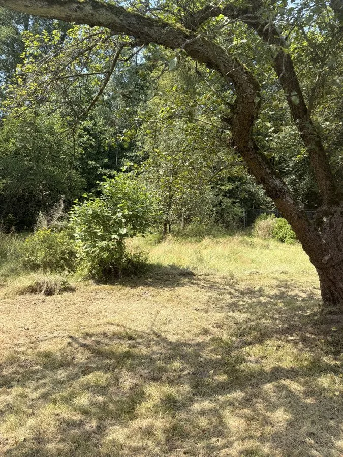 Zdjęcie 6