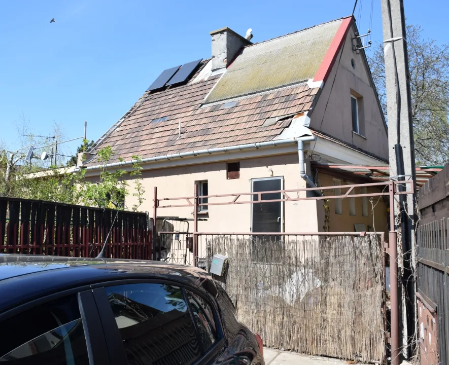 Gołąbki Jesienna 30