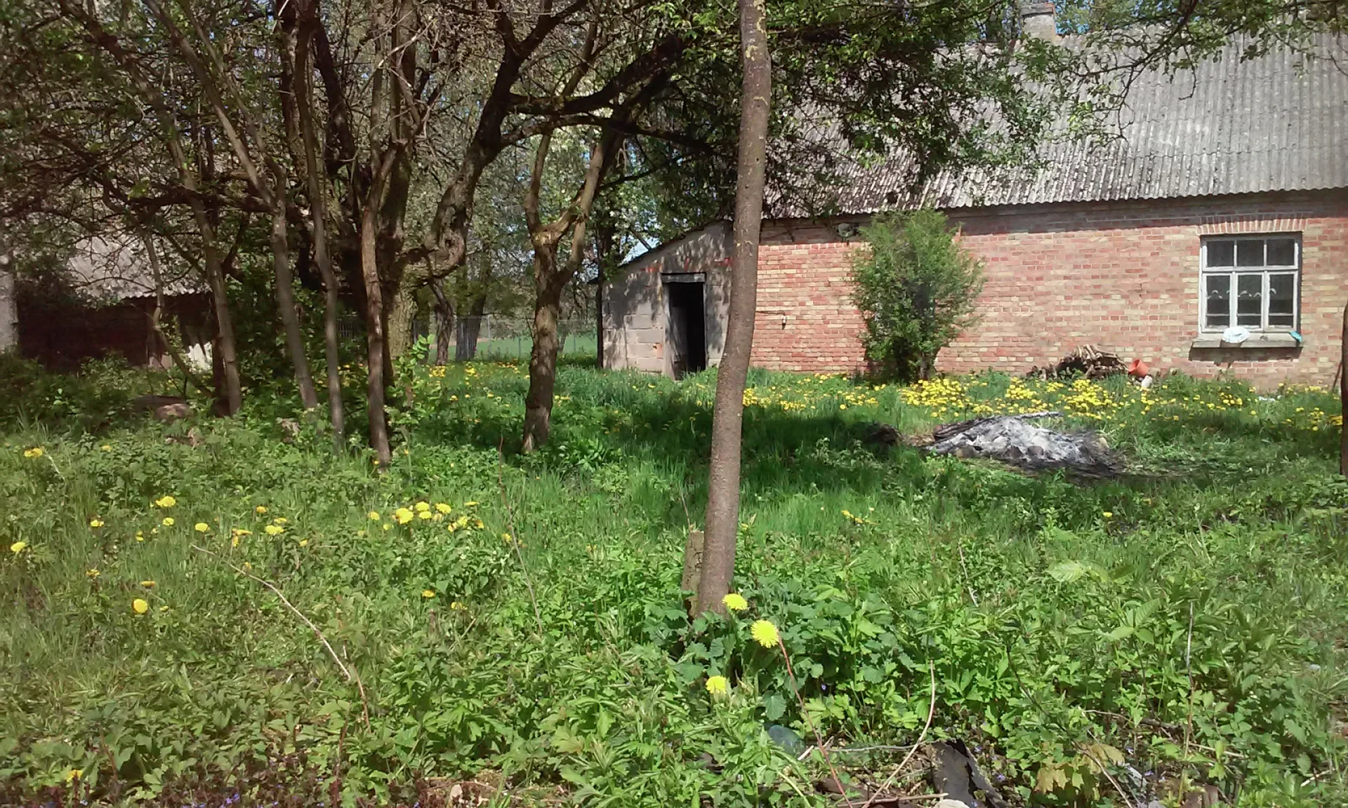 Jaginty, działka siedliskowa na sprzedaż