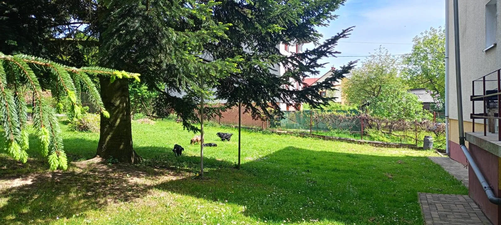 Sprzedam dom w Krośnie