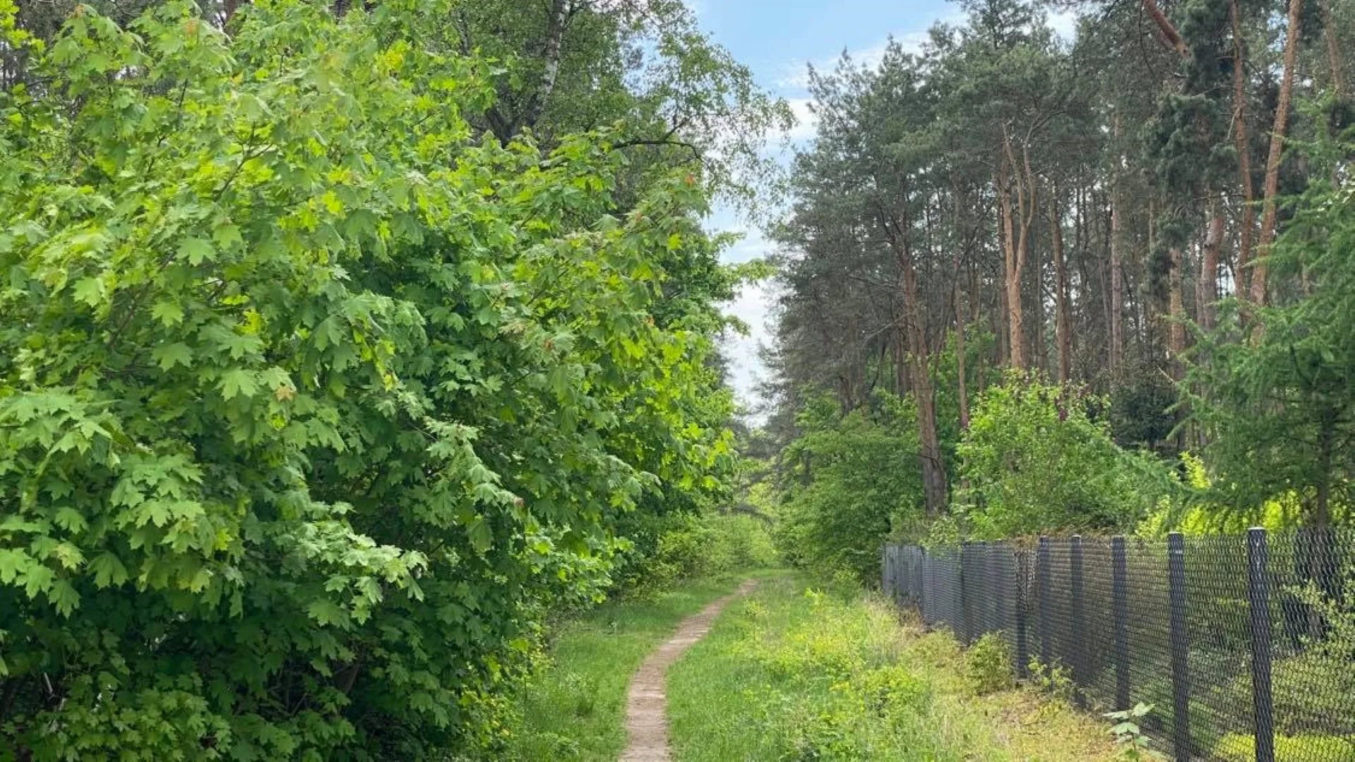 Doskonale położona działka w Zielonce