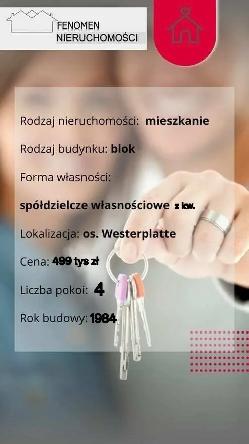 Zdjęcie 11