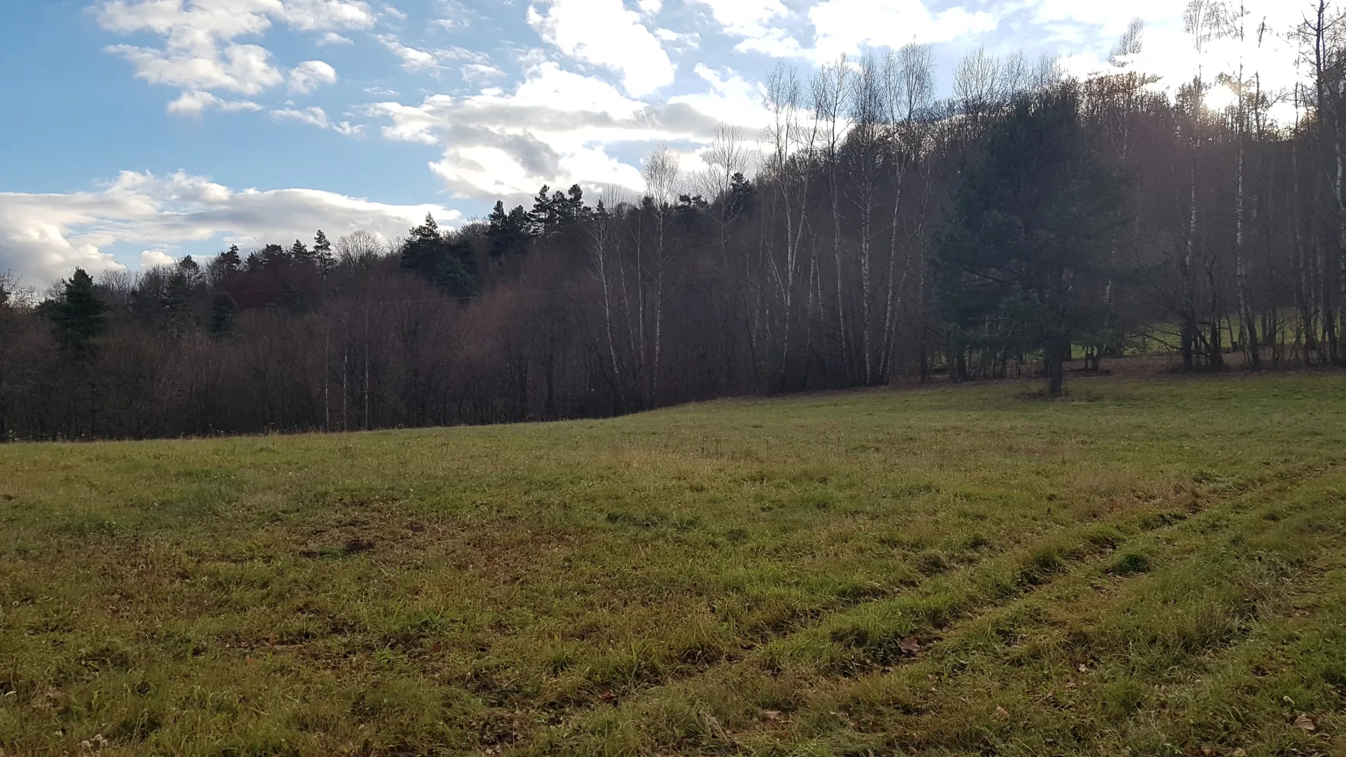 Uzbrojona działka widokowa na wzgórzu w Bieszczadach – 3 min od Soliny + własny las!