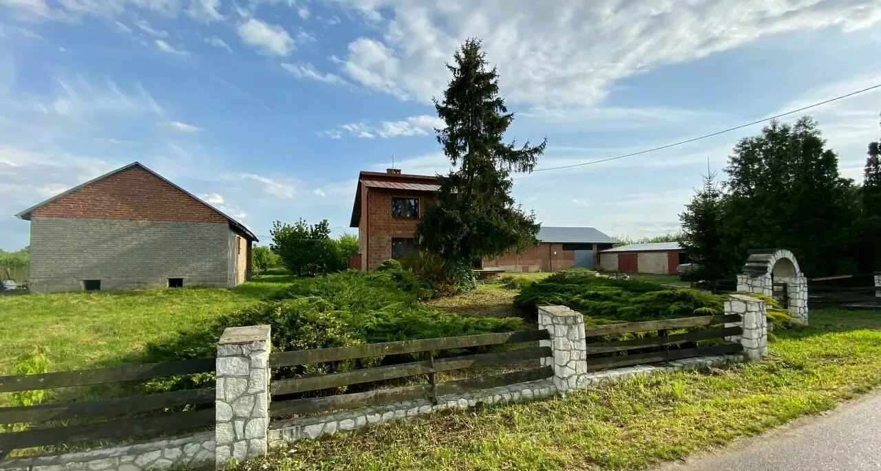 Zdjęcie 10