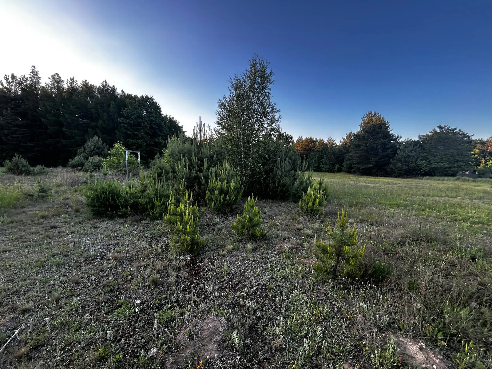 Działka budowlana 1000m² - Puszcza Mariańska - bez prowizji