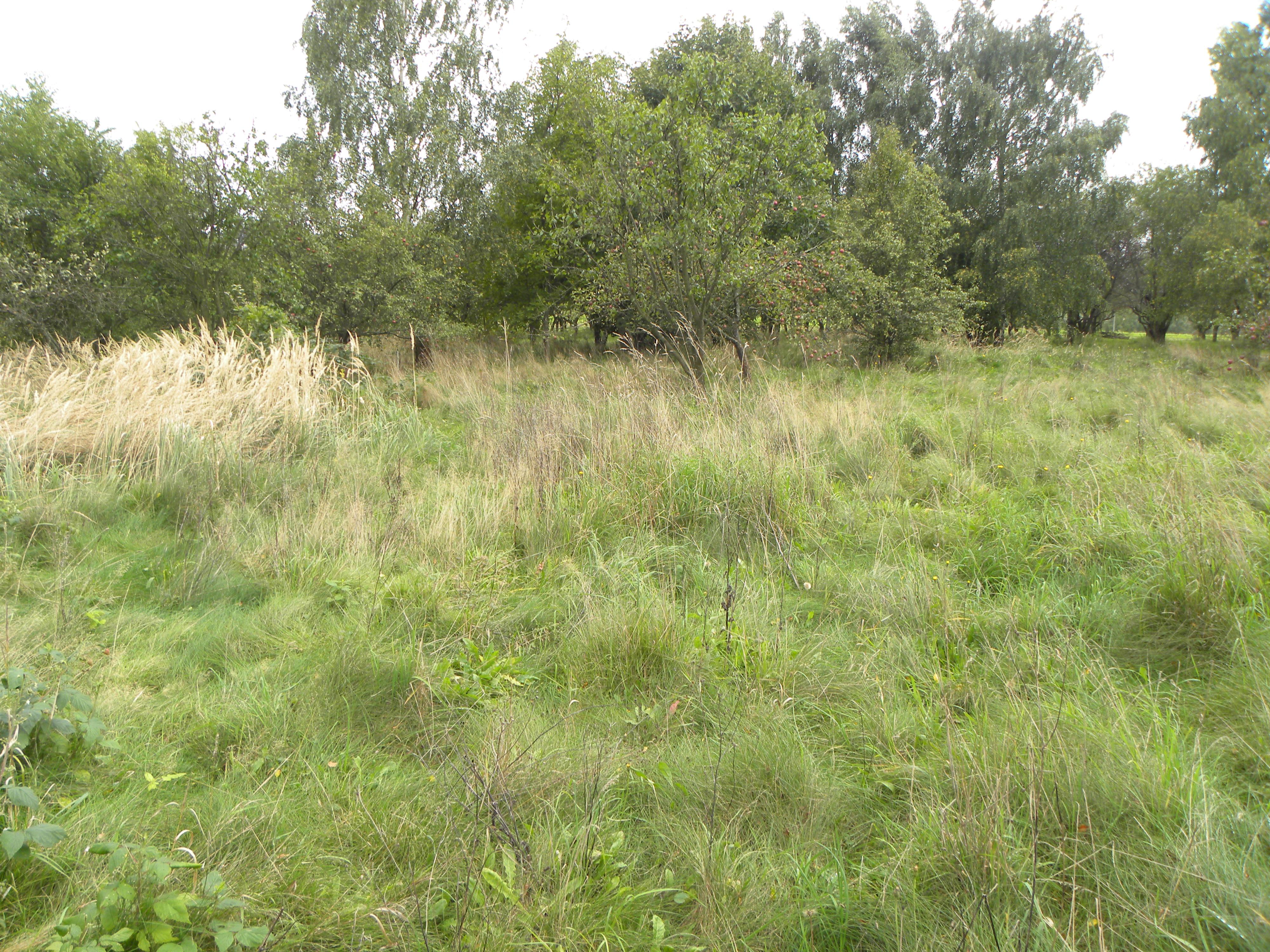 Ropica Polska, działka budowlana 21 a, 1023S/2021