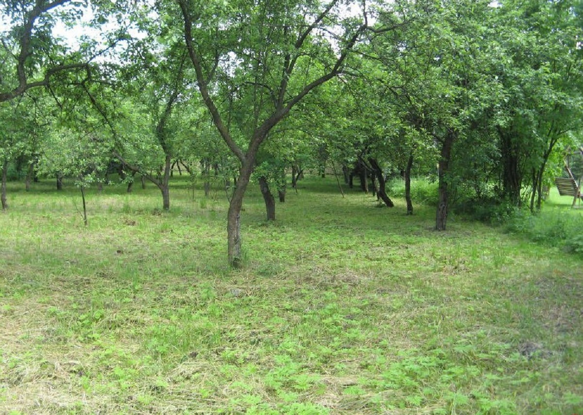 Działka Budowlana .Sprzedaż bez pośrednika