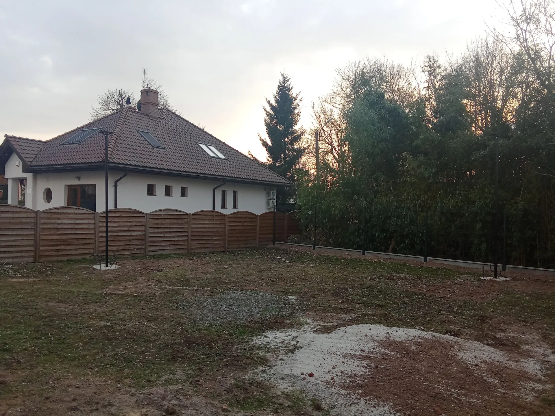 Zdjęcie 12