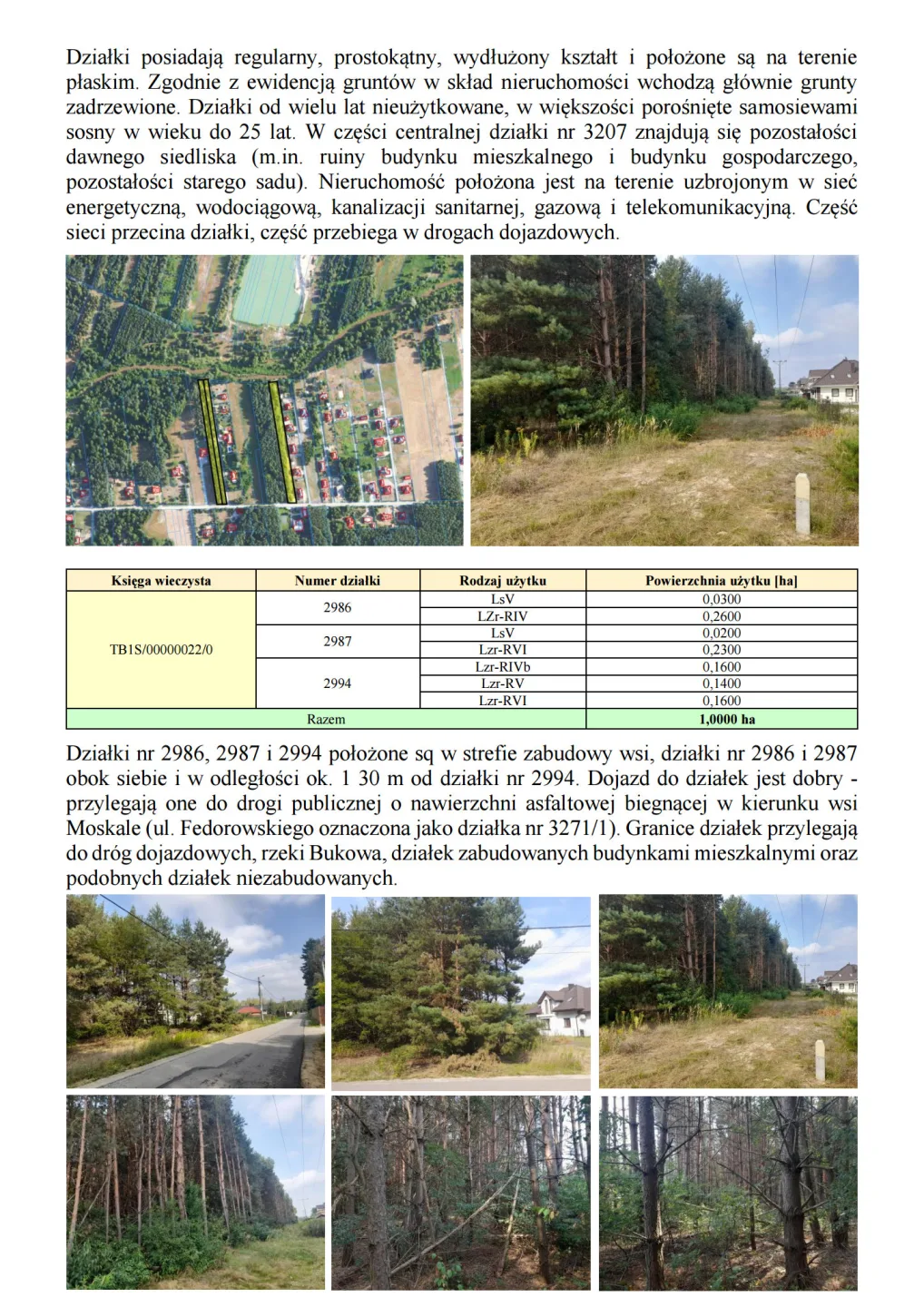Syndyk sprzeda udziały w grunatach Jastkowice - Stalowa Wola