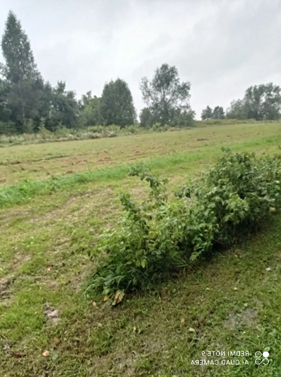 sprzedam działki rolne