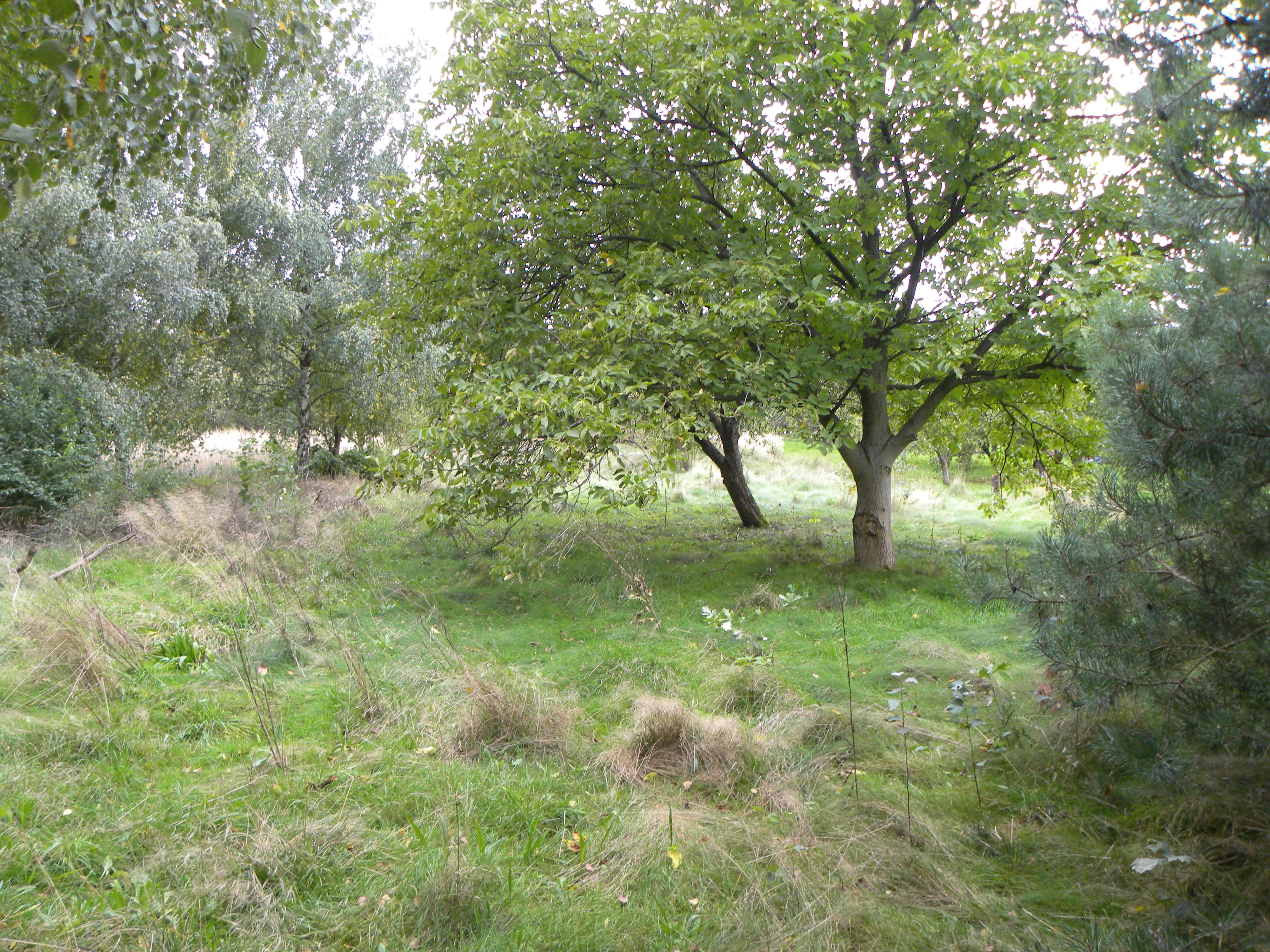 Ropica Polska, działka budowlana 21 a, 1023S/2021