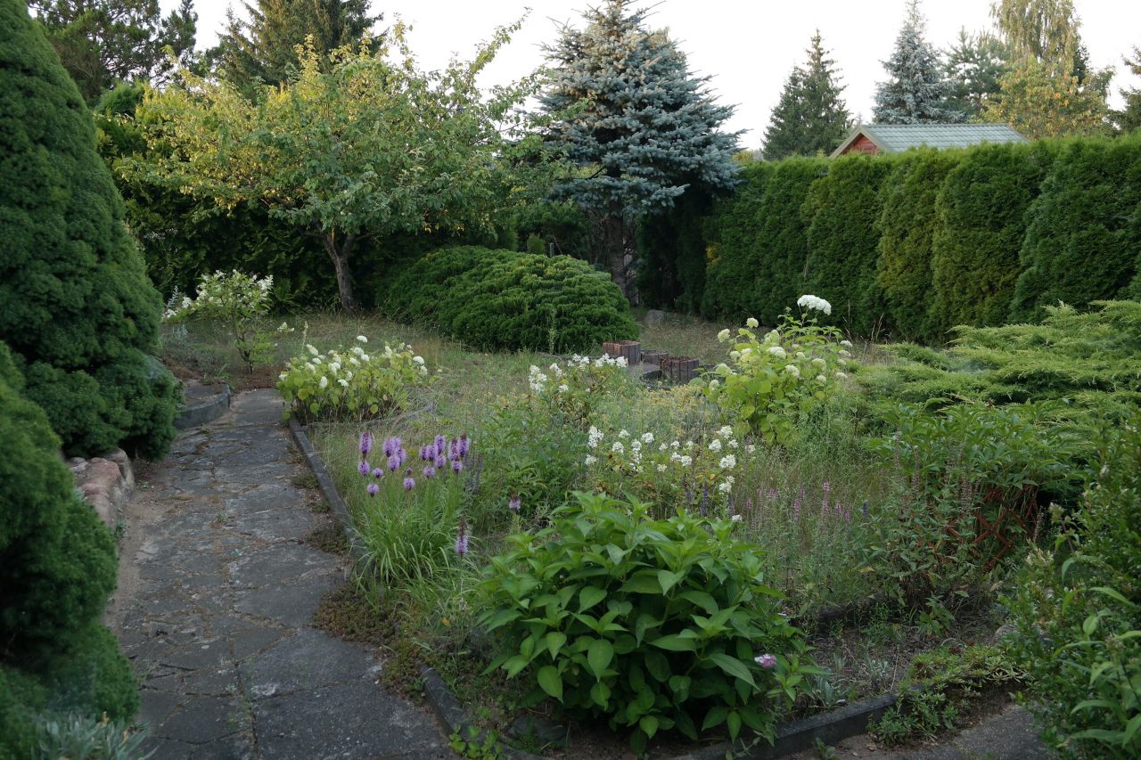 ROD DUŻA PIĘKNA ZADBANA DZIAŁKA REKREACYJNA Z DOMKIEM 730 M. KW. NIEWODNICA KOŚCIELNA k. BIAŁEGOSTOKU