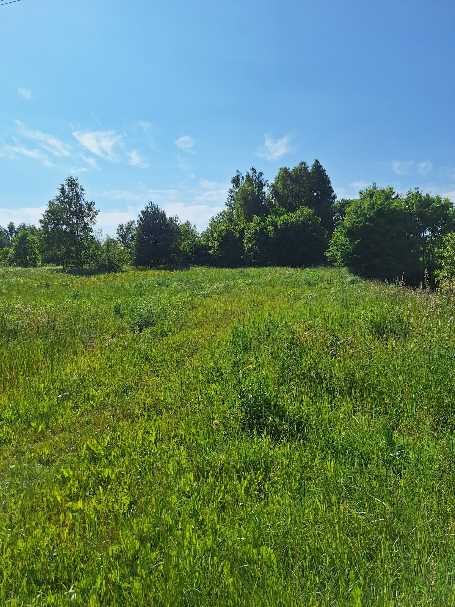 Działka Poręba - piękna działka!