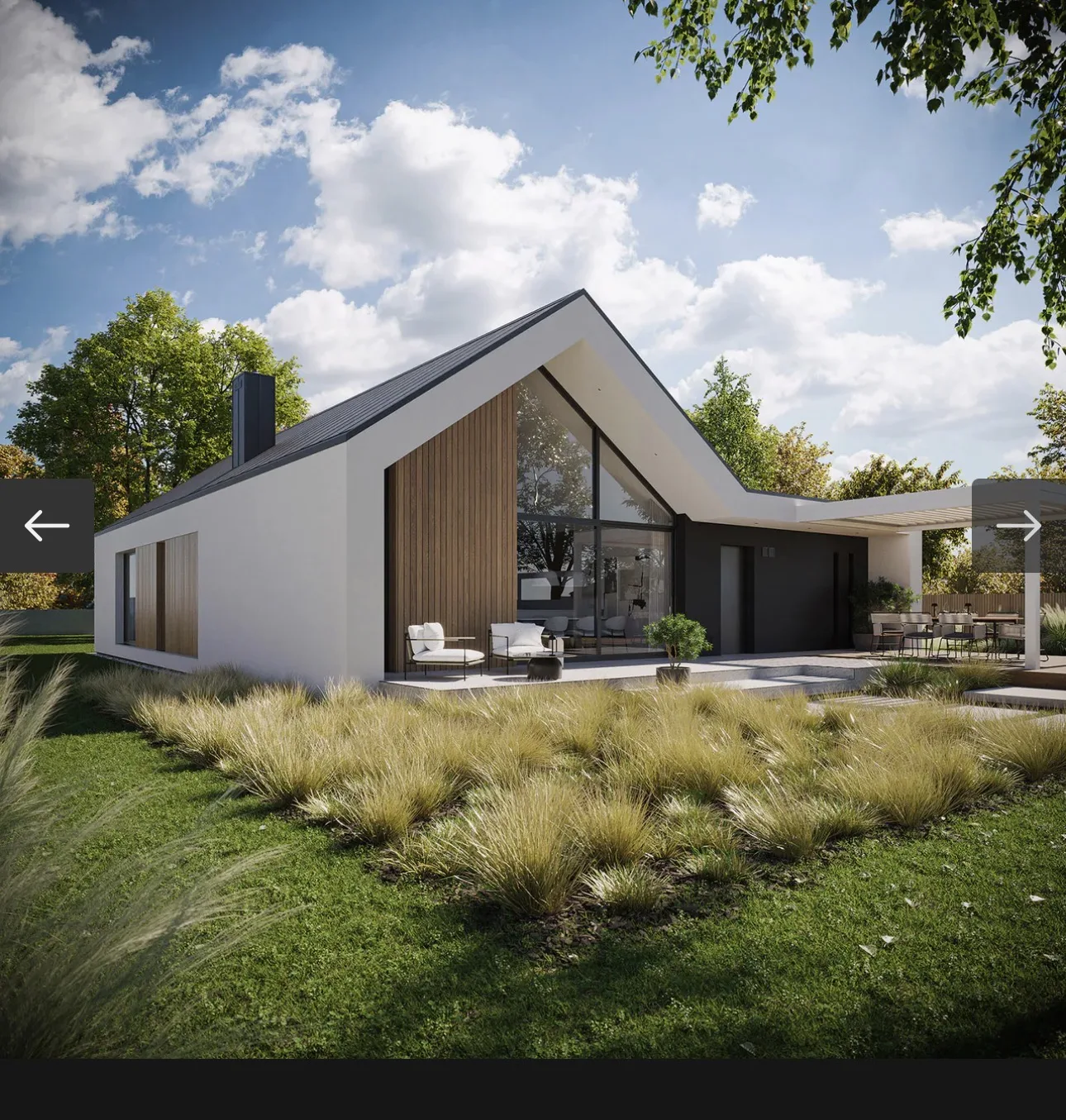 Dom New Hause 719