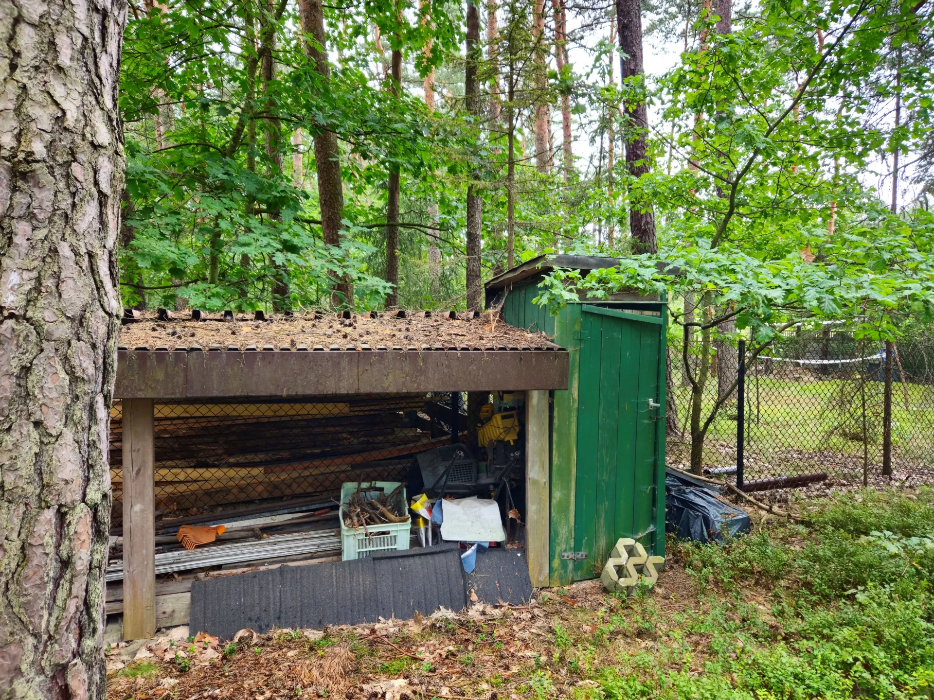 Zdjęcie 6