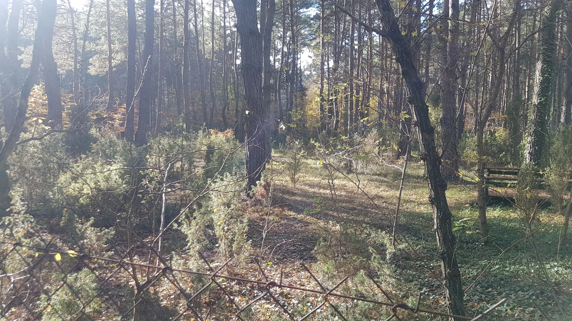 Działka Radzymin Rejentówka