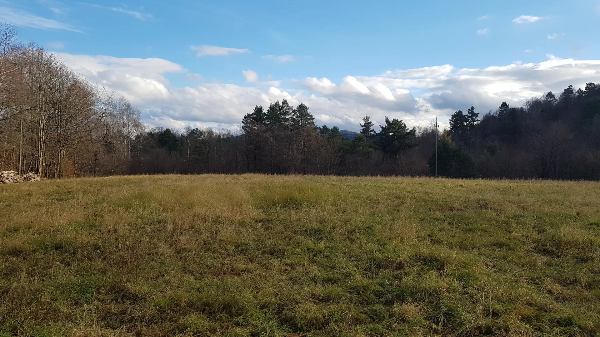 Uzbrojona działka widokowa na wzgórzu w Bieszczadach – 3 min od Soliny + własny las!