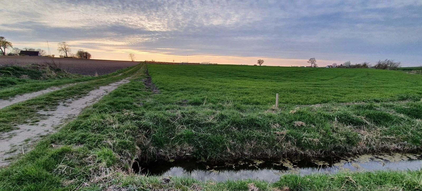 Działka rolno budowlana siedliskowa zabudowa zagrodowa 10018 m2 GÓRA Tarnowo Podgórne warunki zabudowy projekt domu pozwolenie na budowę