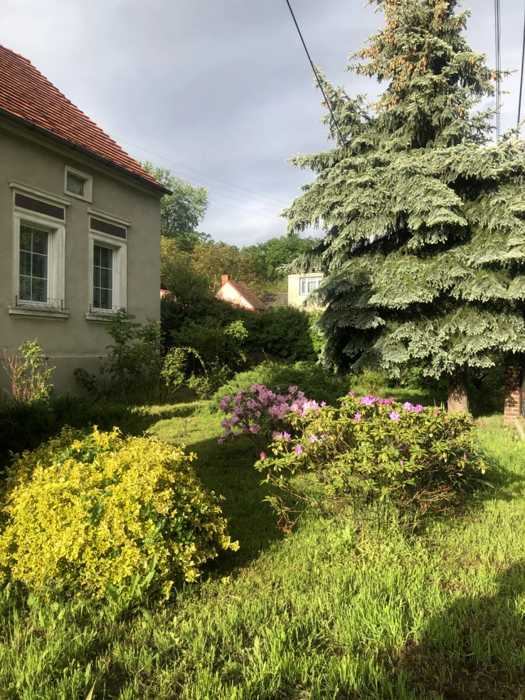 Zdjęcie 8