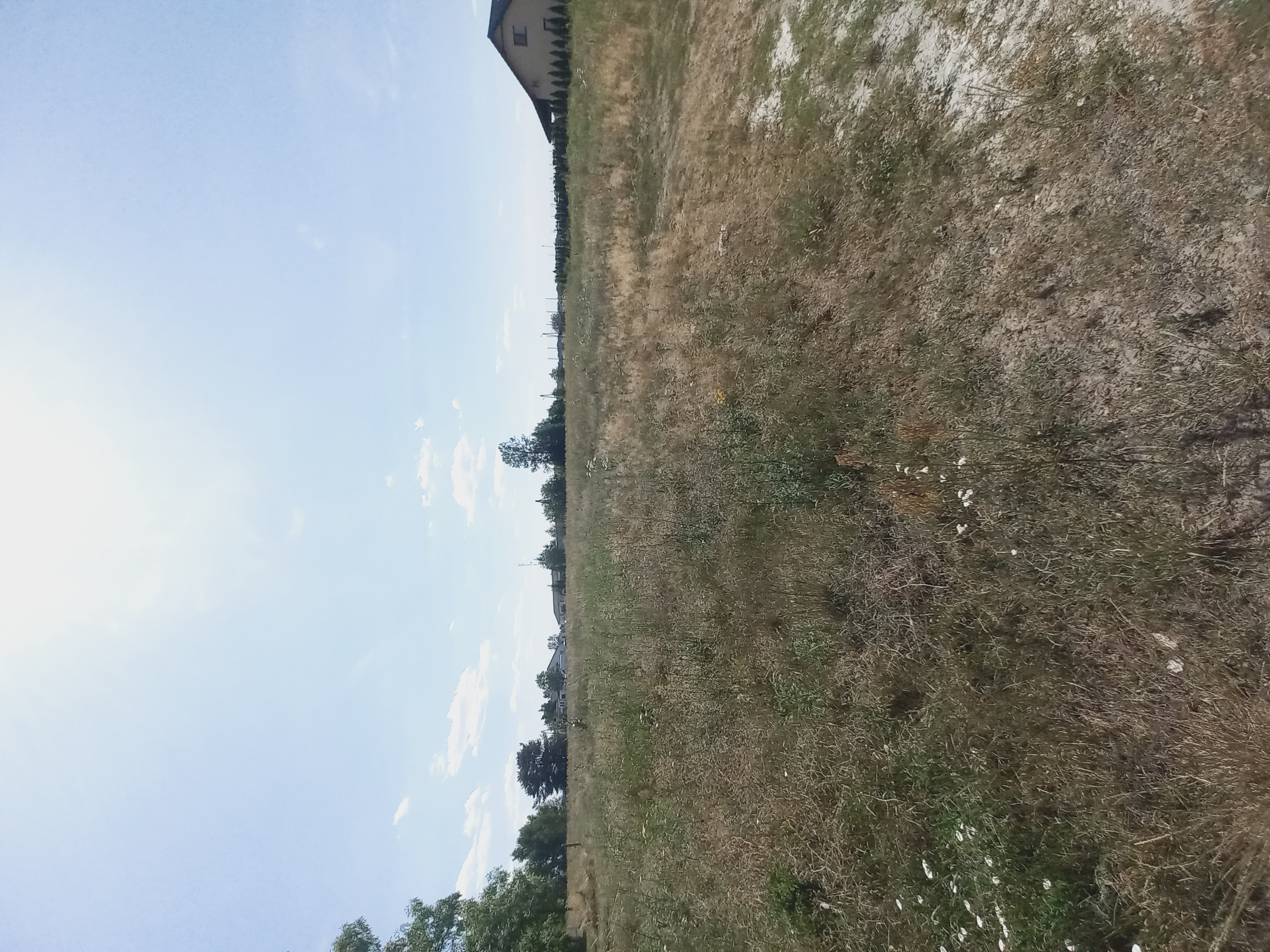 działka budowlana 21ar, Kłębanowice gm. Polkowice